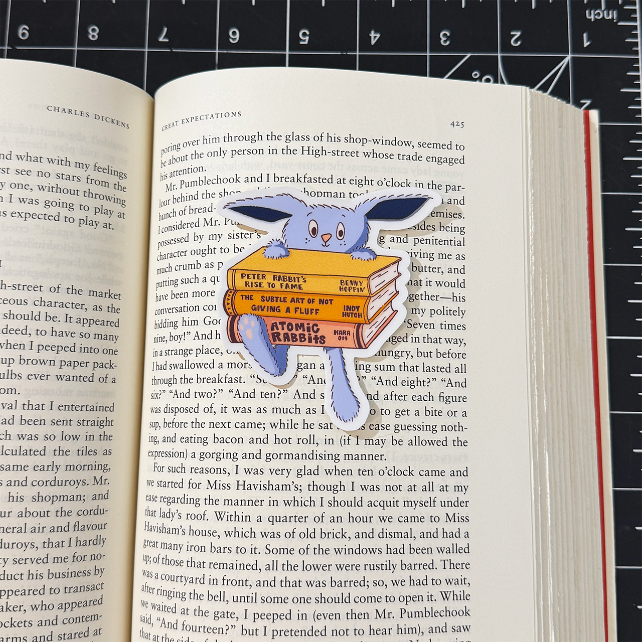 Jacques Rabbit and His Books Vinyl Sticker Waterproof 2.7"X 3"